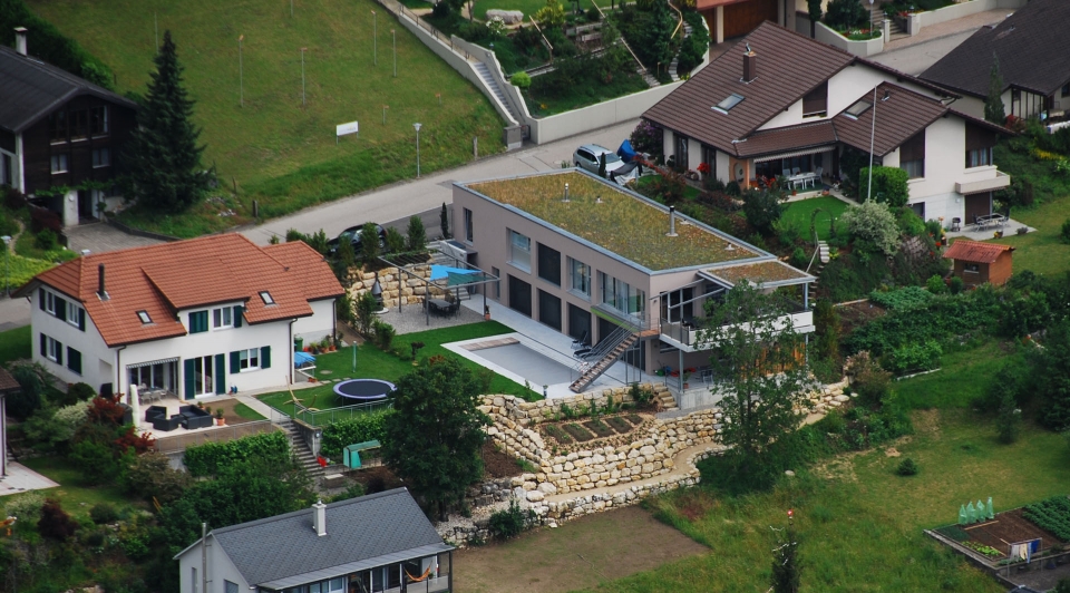 scholl 11.jpg